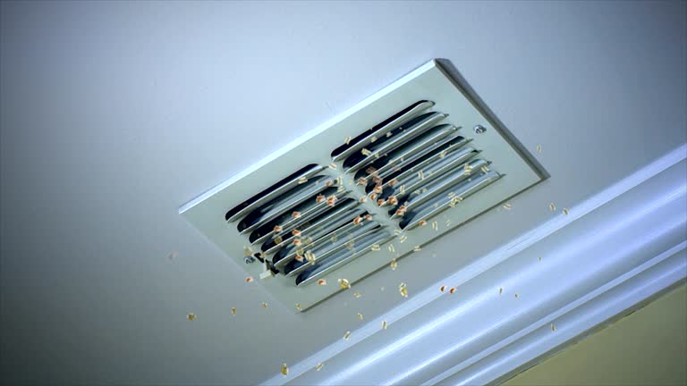 Best Ductwork Cleaning Services  in Montgomery, AL