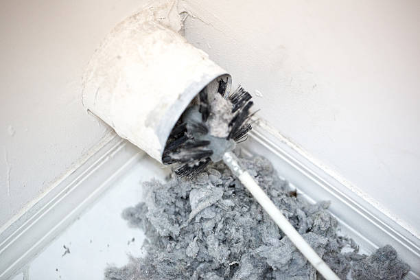 Best Air Duct Mold Removal  in Montgomery, AL